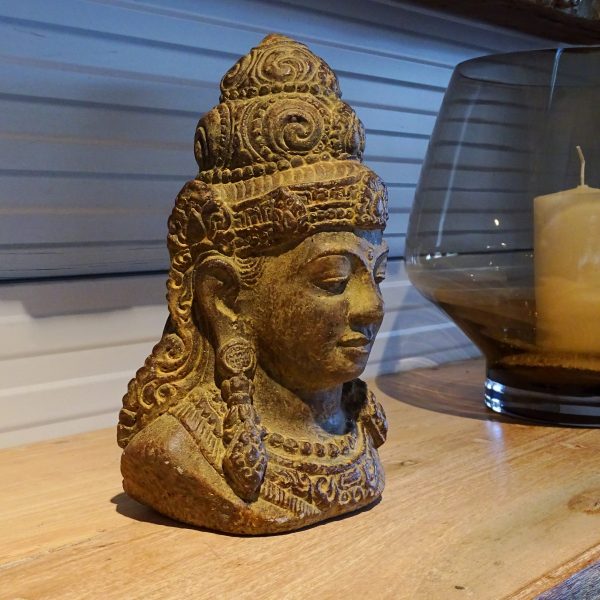 dewi head ht68030