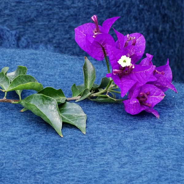 cushion ht83618