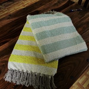 import placeholder for 5009