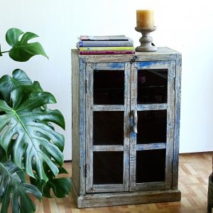 glass doors cabinet sc54010