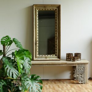 mirror sc55034