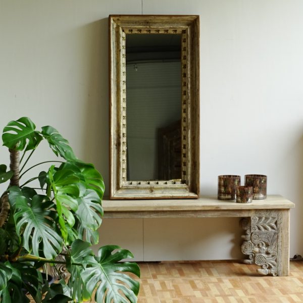 mirror sc55034