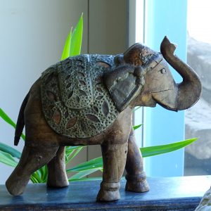 elephant sc56047