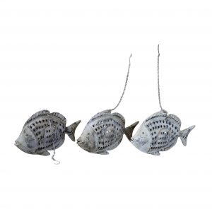 fish sc57007 coming soon